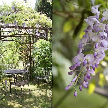 Fahrradpension-joachimsthal 3* Joachimsthal